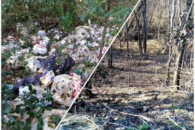 Immagine con descrizione mancante