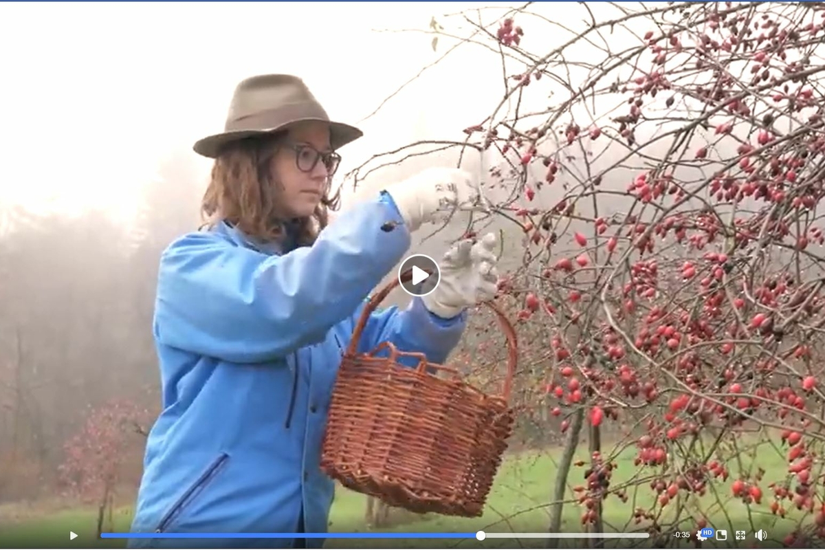 Immagine con descrizione mancante