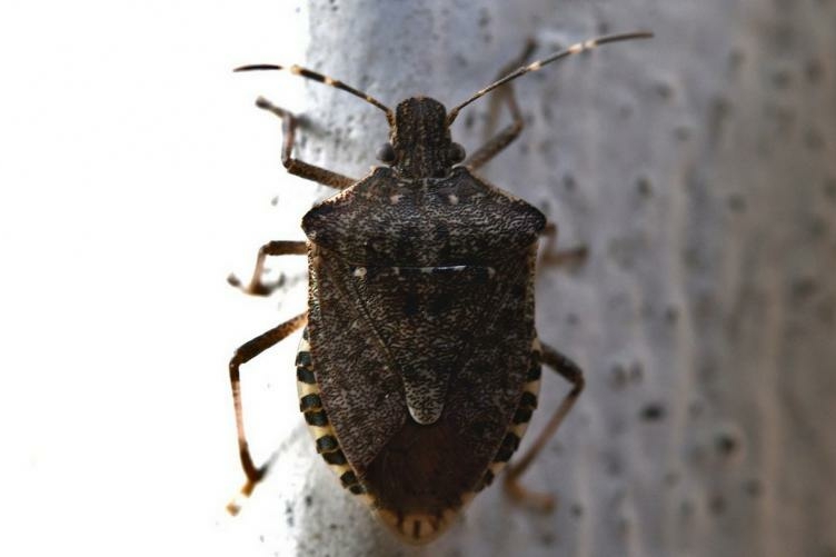 Immagine con descrizione mancante