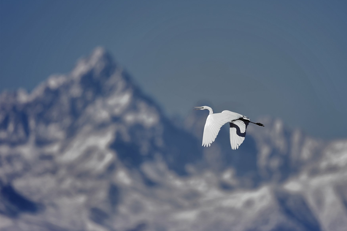 Immagine con descrizione mancante