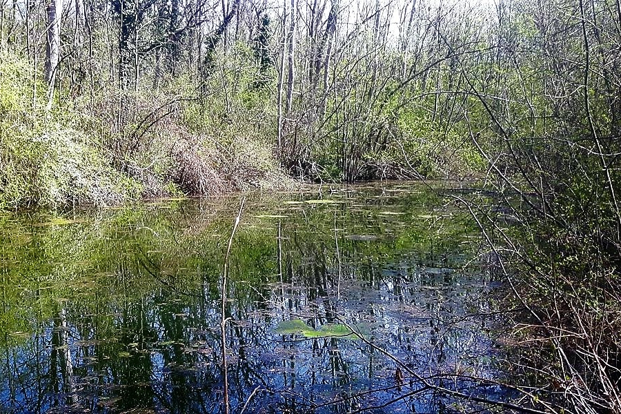 Immagine con descrizione mancante